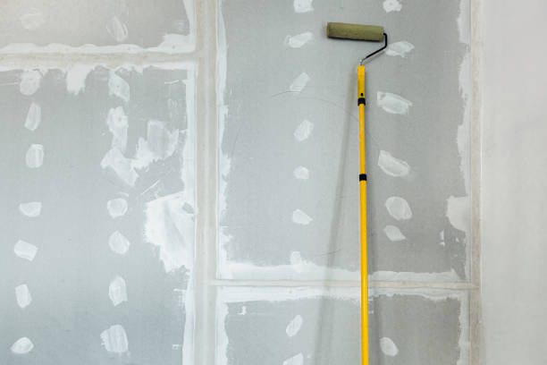 Best Biohazard Mold Removal  in White Bear Lake, MN