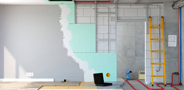 Trusted White Bear Lake, MN Mold Removal Experts